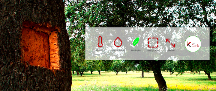 Revestimiento de corcho proyectado en Domos